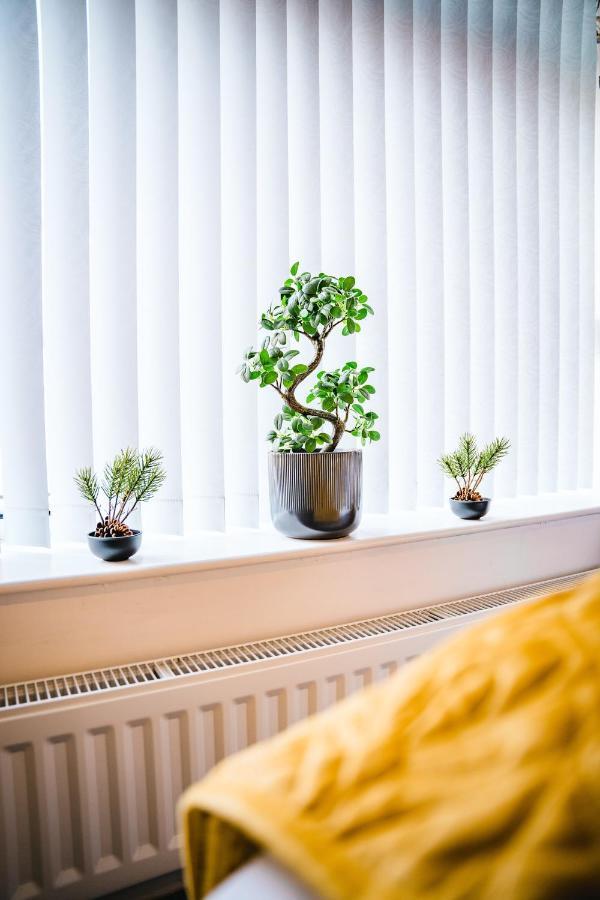 Aunt Mary'S Apartment Belfast Luaran gambar